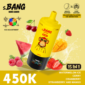 Bang leader 450K 15 in 1-A Bang leader 450K 15 in 1-A