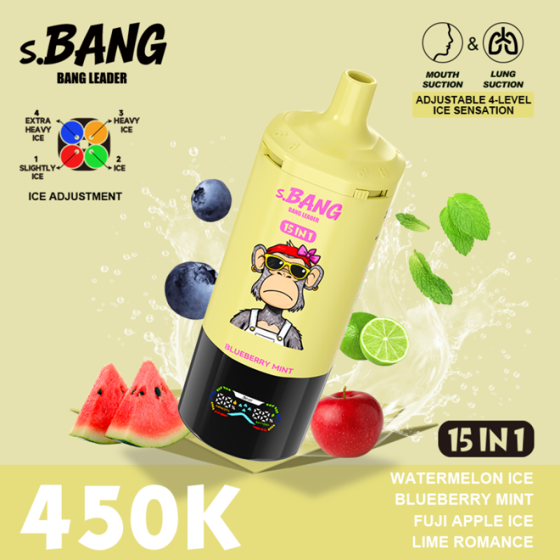 Bang leader 450K 15 in 1-G Bang leader 450K 15 in 1-G