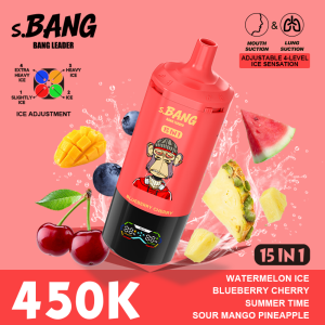 Bang leader 450K 15 in 1-K Bang leader 450K 15 in 1-K
