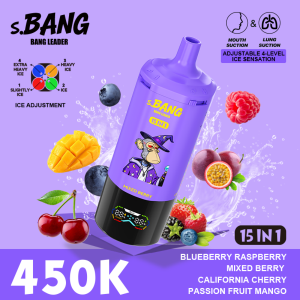 Bang leader 450K 15 in 1-L Bang leader 450K 15 in 1-L