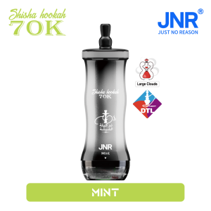 JNR Shisha Hookah 70k-Mint