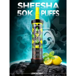 Rock Me 50k puffs-LEMON MINT