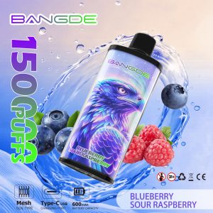 BANG DE 150000 PUFFS-BLUEBERRY SOUR RASPBERRY BANG DE 150000 PUFFS-BLUEBERRY SOUR RASPBERRY