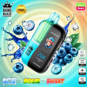 BNAG BLAZE 250K puffs-Blueberry ice