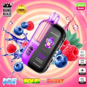 BNAG BLAZE 250K puffs-Blueberry raspberry