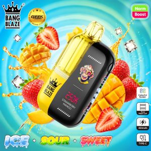 BNAG BLAZE 250K puffs-Strawberry mango