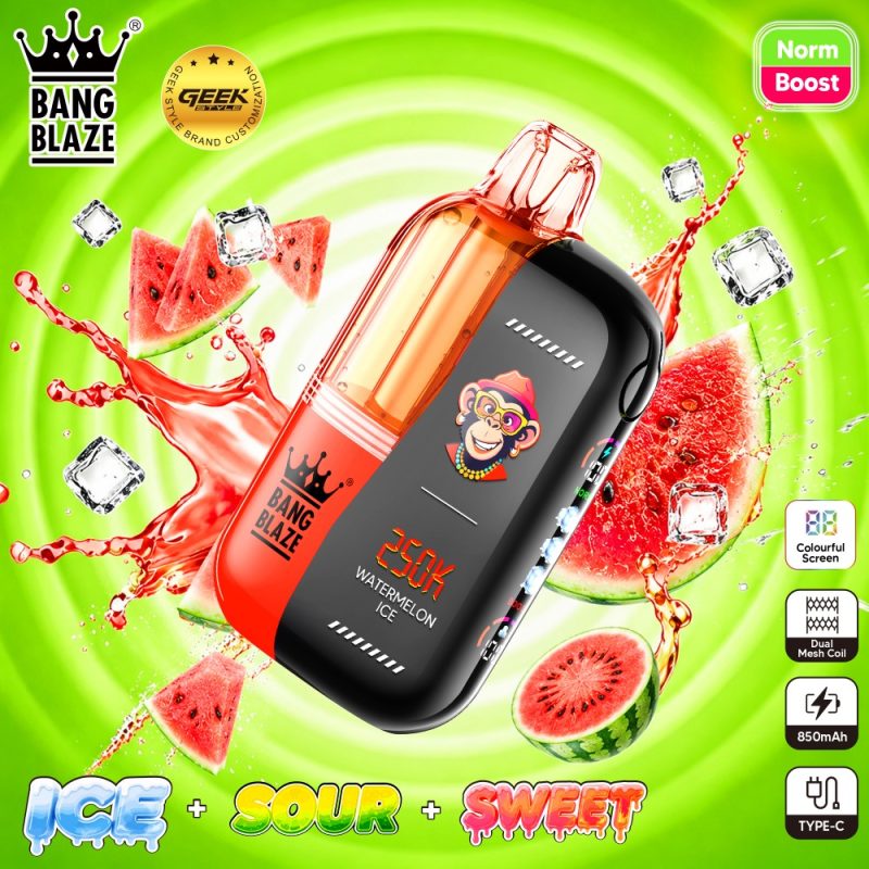 BNAG BLAZE 250K puffs-Watermelon ice