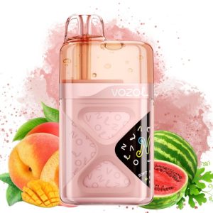 Vozol Neon 60k-Peach Mango Watermelon Vozol Neon 60k-Peach Mango Watermelon