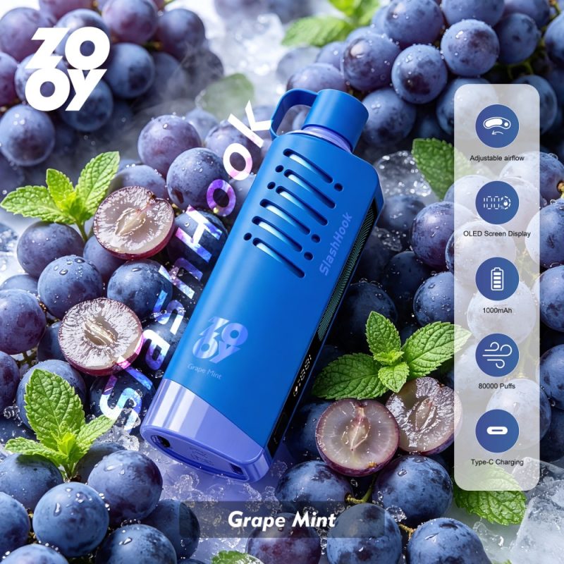 ZOOY Slash Hook 80k puffs-grape mint